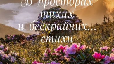 Photo of Зов бескрайних просторов: от тишины к реву снегоходов