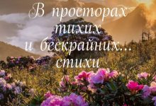 Photo of Зов бескрайних просторов: от тишины к реву снегоходов